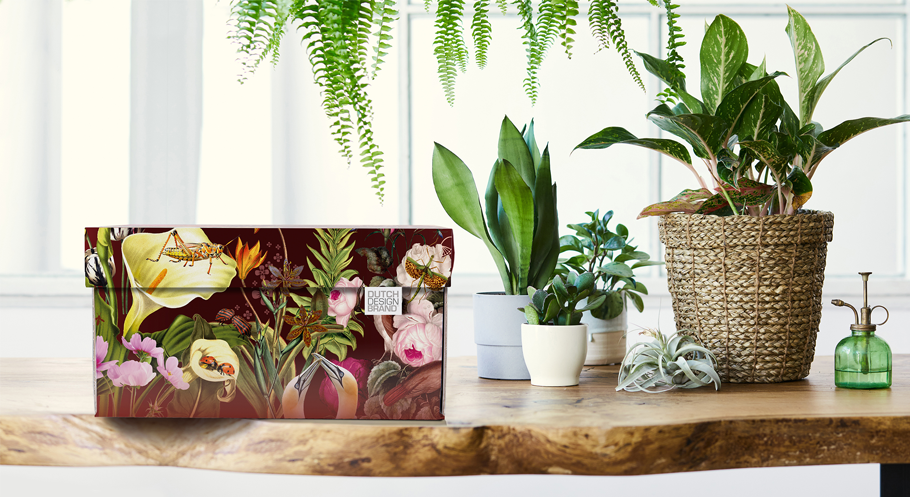 Kerstpakket Bee Friendly